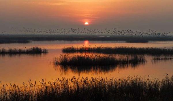 三角洲行动国际服手游下载教程(给我三角洲行动国际服手游的下载链接) 三角洲行动国际服手游下载教程(给我三角洲行动国际服手游的下载链接)